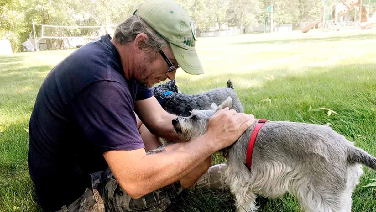 man-petting-two-dogs