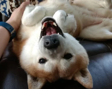 Upside down picture of Nikki