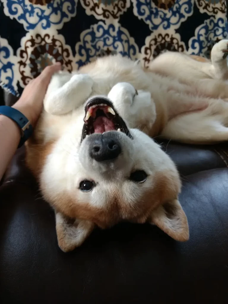 Upside down picture of Nikki