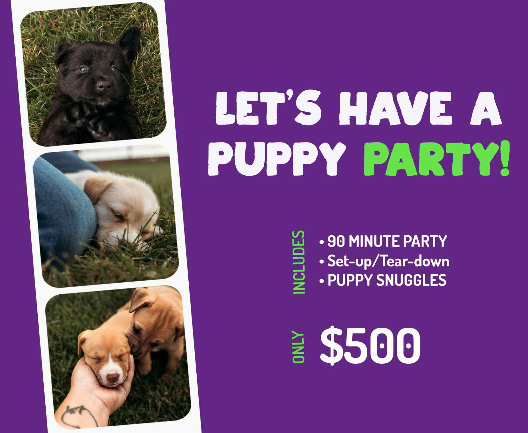 Healing hearts Puppy Party Flyer